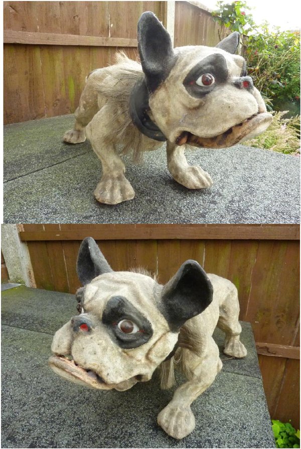 Jul 25 - French bulldog