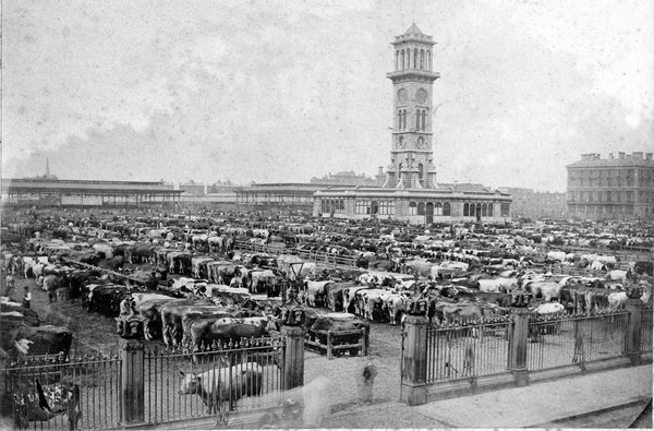 The clock tower served as the command centre of the cattle market. The buildings around the tower were bank and telegraph offices