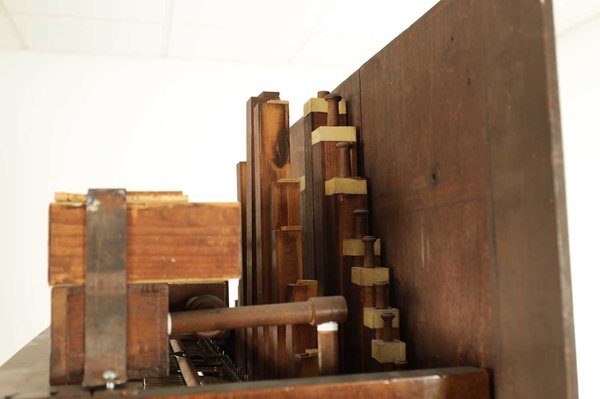Organ clock 4