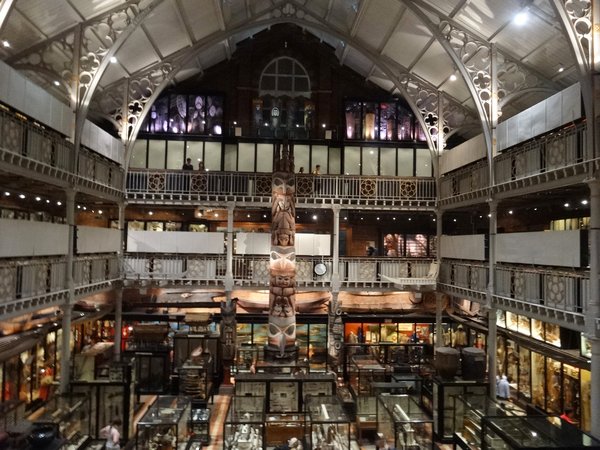 A view of the Pitt Rivers Museum interior
