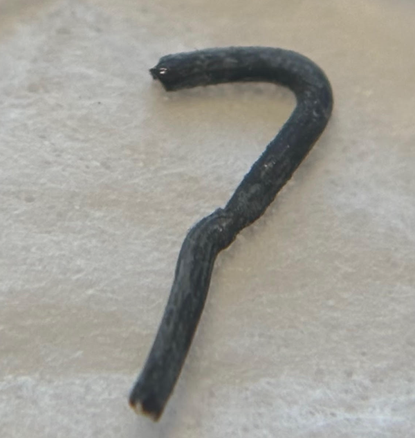 Screenshot 2026-01-18 at 10.35.14 AM